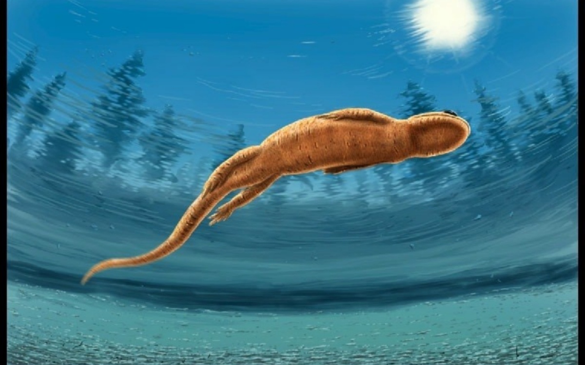 Долесерпетон.