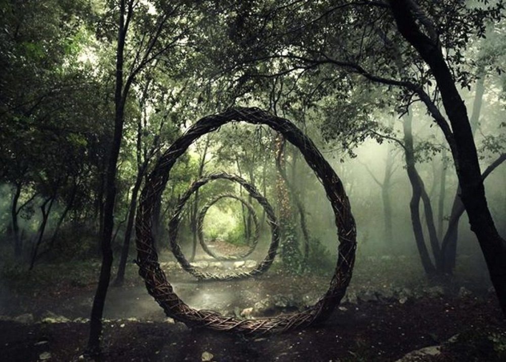 Лес Хойя-Бачу