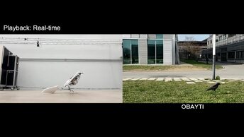 Дроны научились прыгать, как птицы, чтобы взлетать