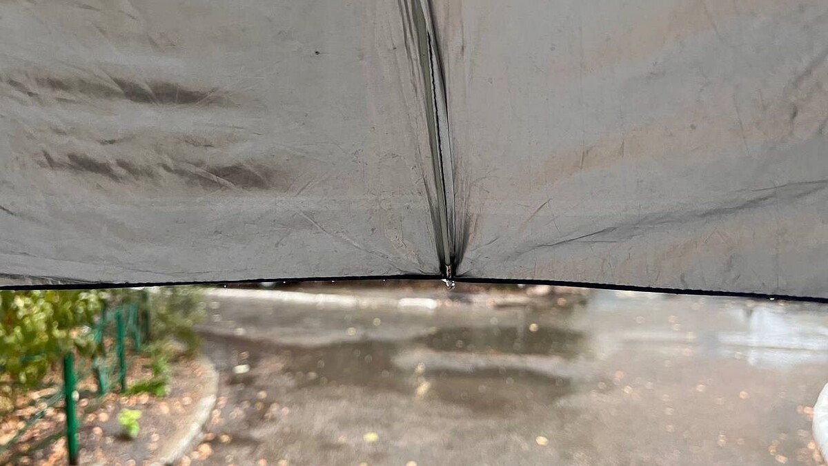    Фото: телеканал «Краснодар»