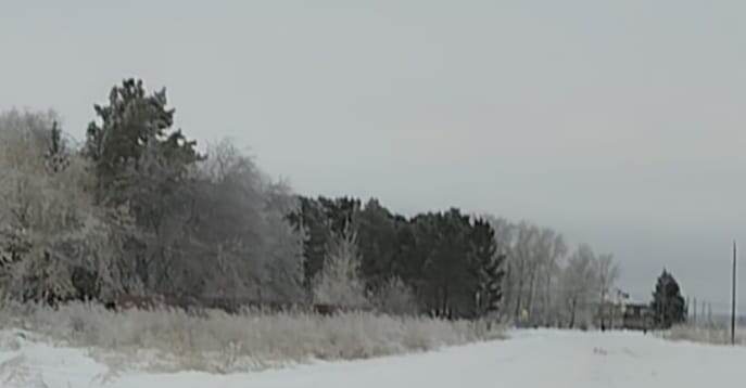 И у природы есть серые дни