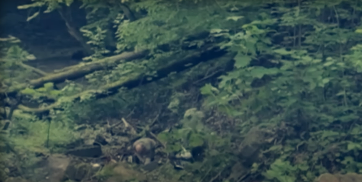 Место преступления