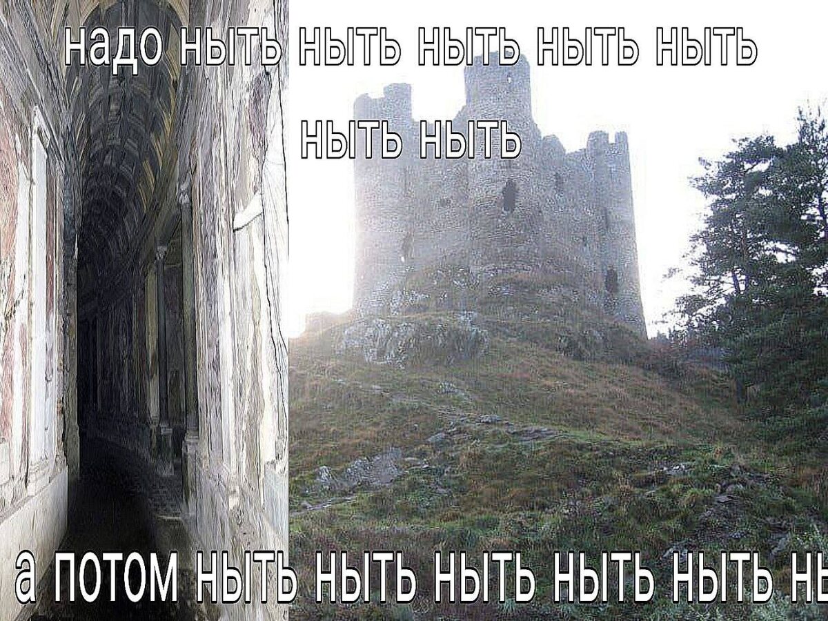 Мем про нытье