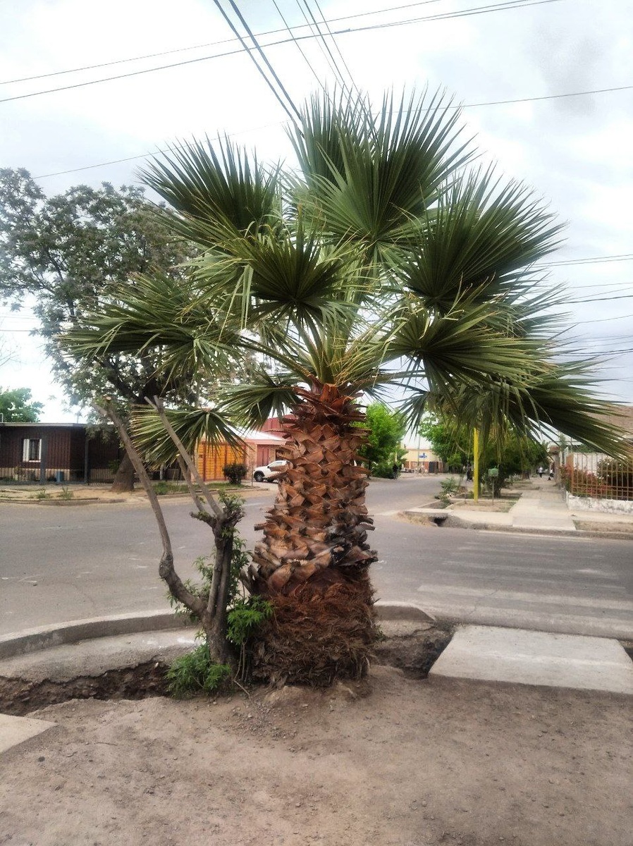 Фото автора канала