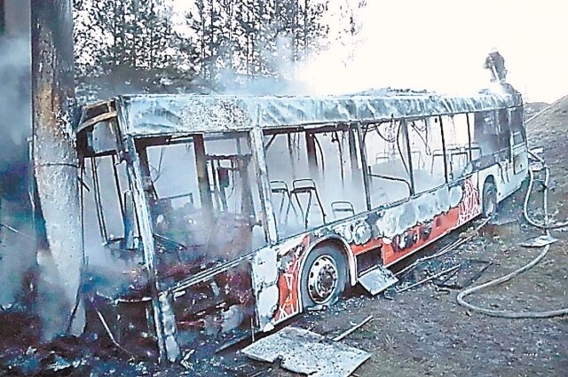    Пермь, 28 ноября. Пока неясно, почему автобус скатился под мост и выгорел. Пострадали трое.Фото: ГУ МЧС по Пермскому краю
