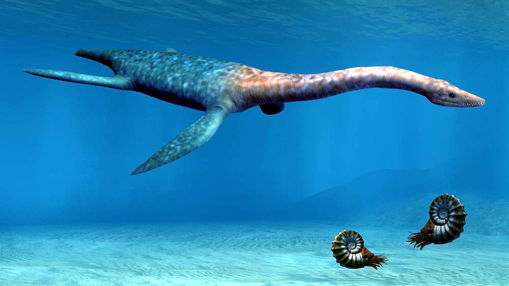 Аммониты благополучно пережили Великое вымирание и соседствовали с плезиозаврами.