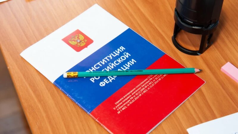     Общественные наблюдатели на голосовании по поправкам в Конституцию РФ. Дмитрия Лямзин, ИД "Алтапресс"