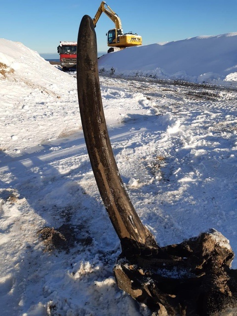 Фото: Ногликский краеведческий музей