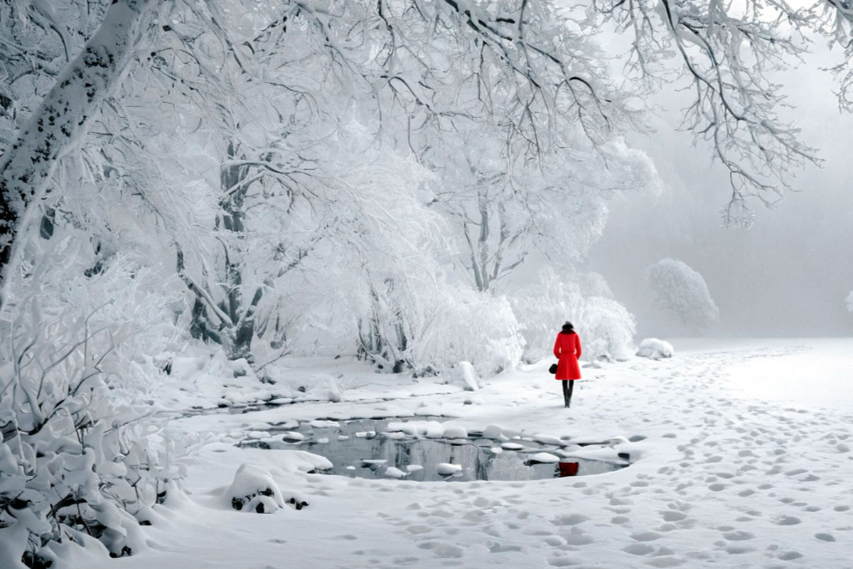 Иллюзия "я" – это совокупность воспоминаний о прошлом, желаний в настоящем и планов на будущее