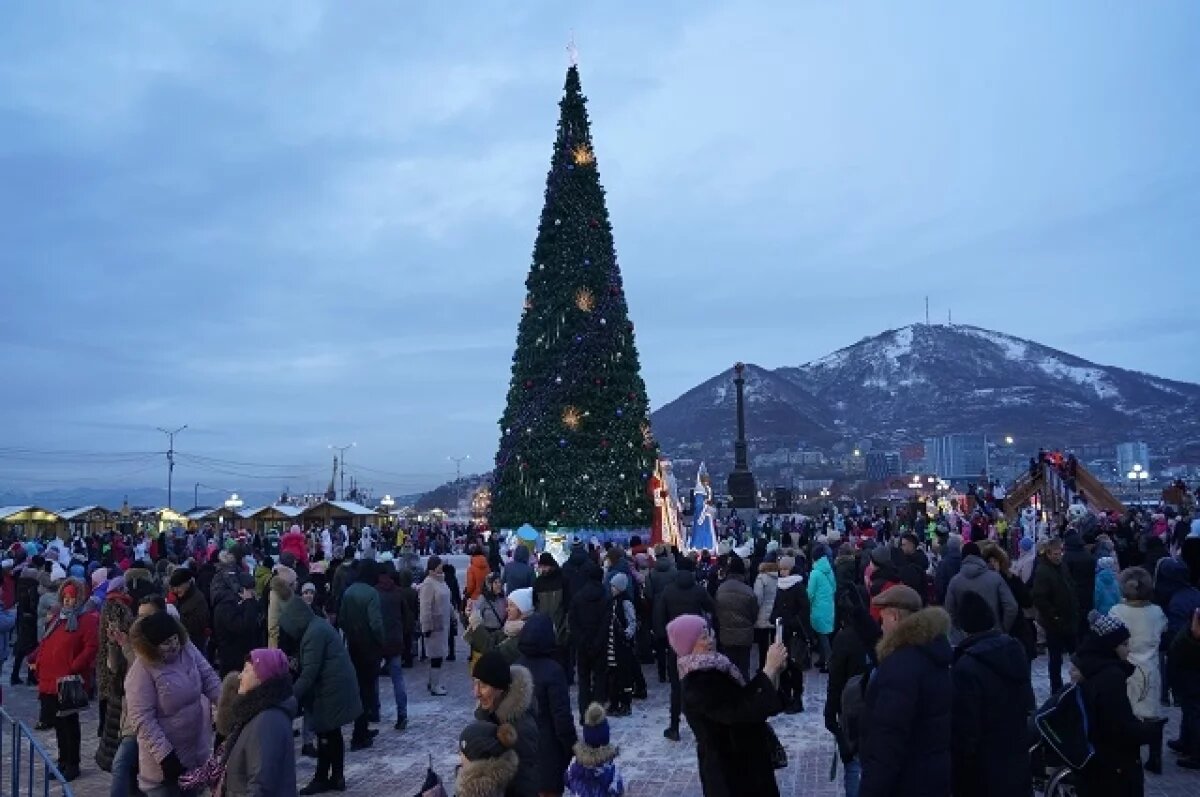    В Петропавловске-Камчатском 14 декабря состоится открытие главной елки