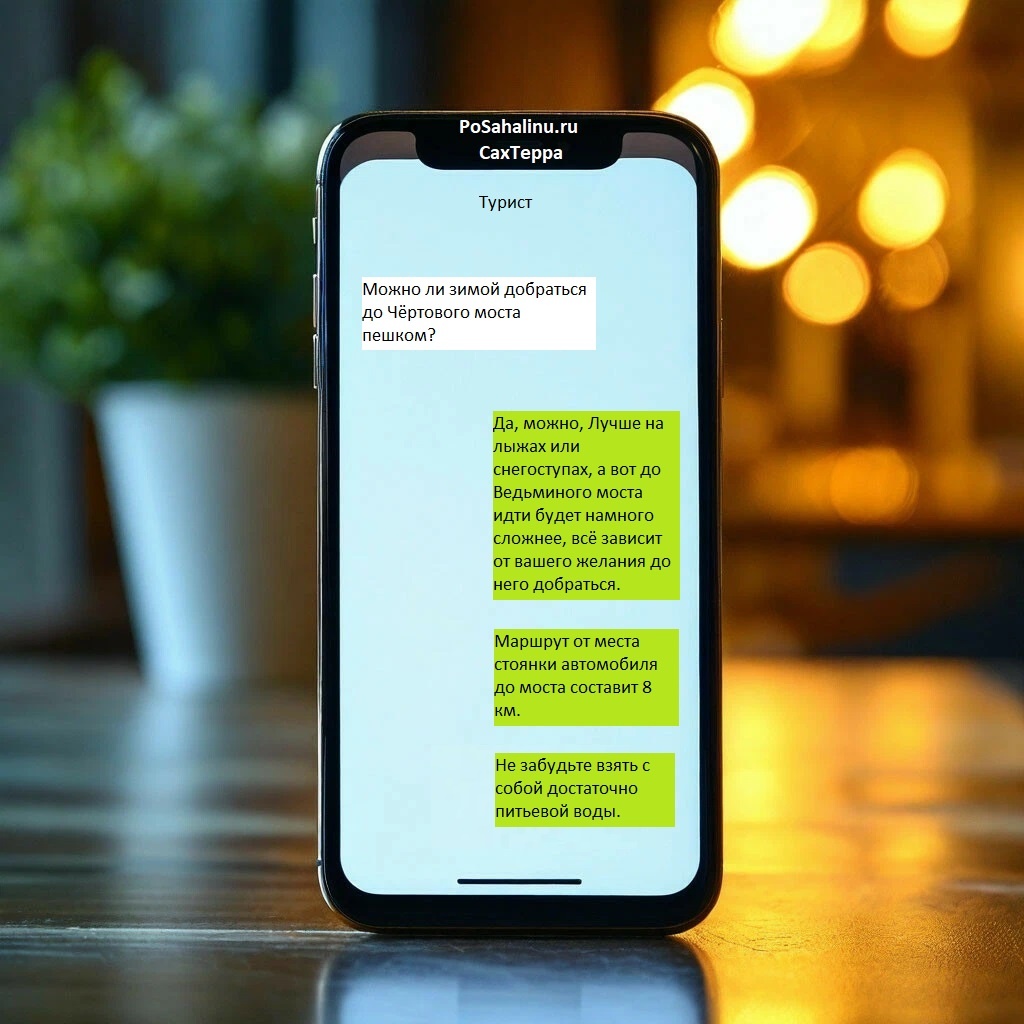 Переписка туриста и менеджера компании СахТерра