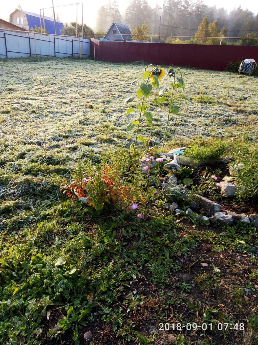 участок фото 2018 г