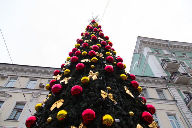    Фото: Общественная Служба Новостей Екатерина Шахнина