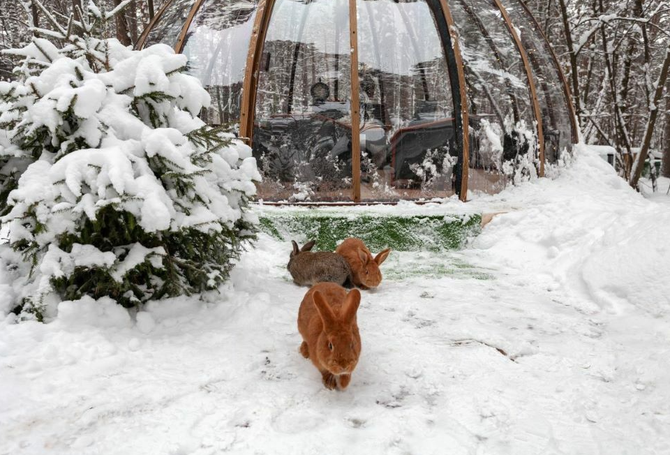 Фото с официального сайта