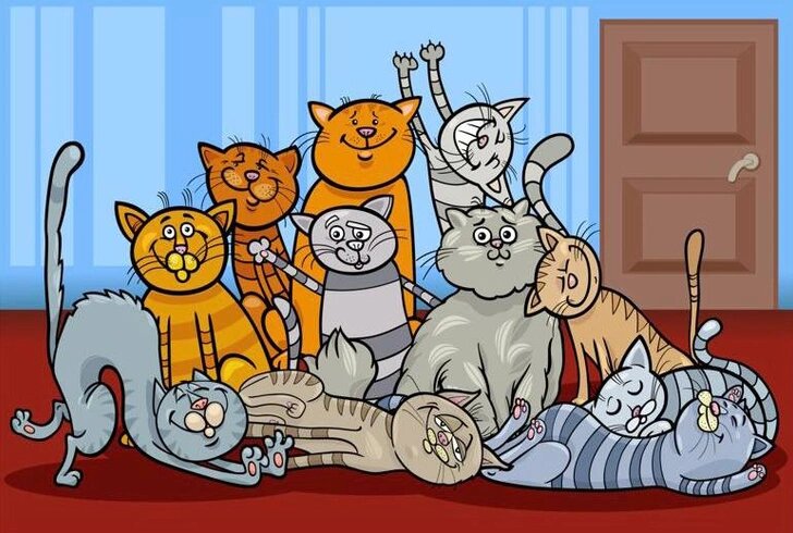 Источник: Igor Zakowski / Shutterstock