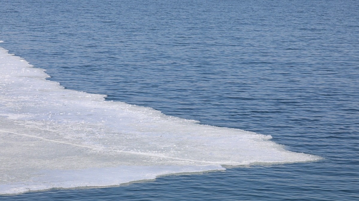     Источник: primorsky.ru