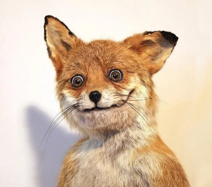 картинка из интернета,  очень отражает мое состояние