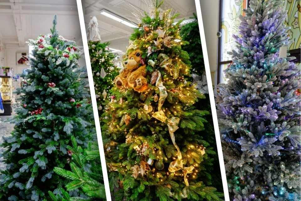    А какую новогоднюю красавицу выберите вы? Валерий ЗВОНАРЕВ