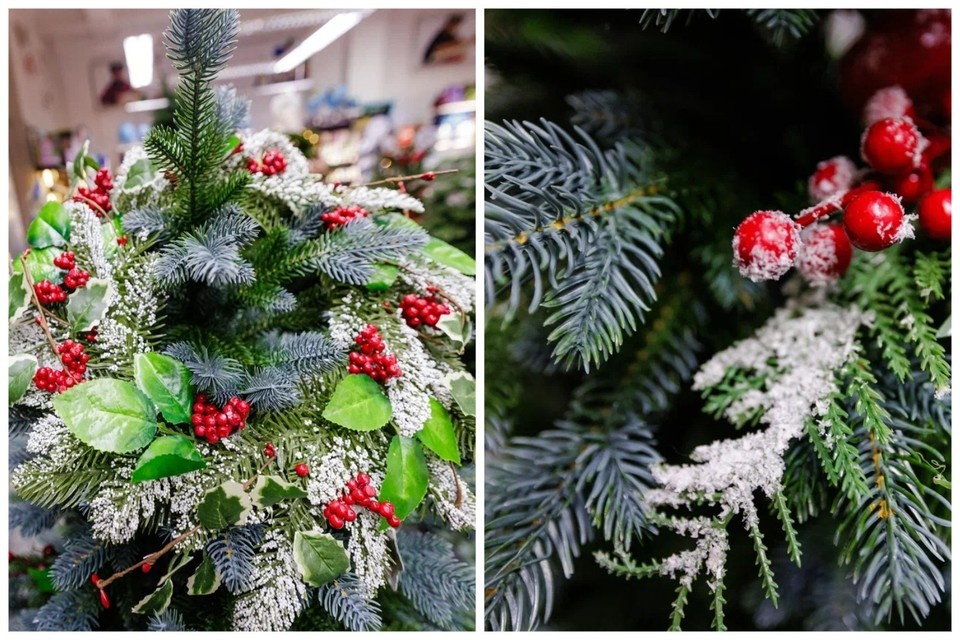    Голубые веточки напоминают молодую живую ель. Валерий ЗВОНАРЕВ