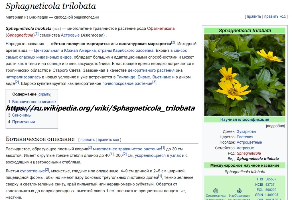 Скриншот странички Вики