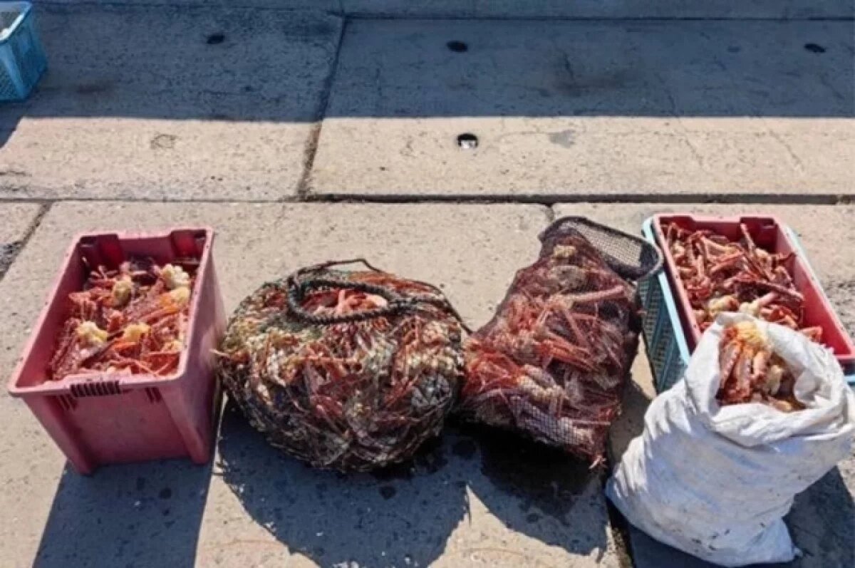    Обвиняемые обязаны выплатить 2 779 616 рублей, который пойдут в доход Находкинского Городского округа