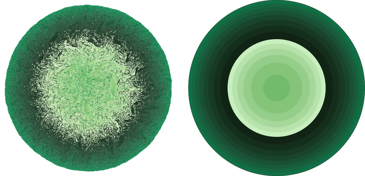 Моделирование частиц (слева) и континуума (справа) показало, что в условиях низкого стресса колонии бактерий задерживают свой рост, когда на них оказывают давление быстро делящиеся соседи. Фото: Weady S, et al. (2024); Center for Computational Biology, Flatiron Institute.