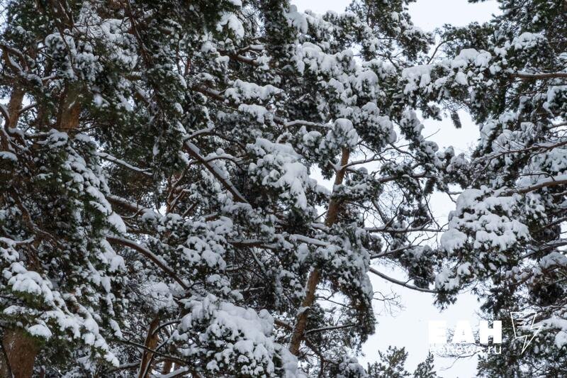    ЕАН / Свердловчан предупредили о предстоящем снегопаде