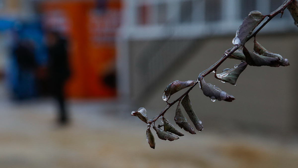    Фото: Антон Вергун