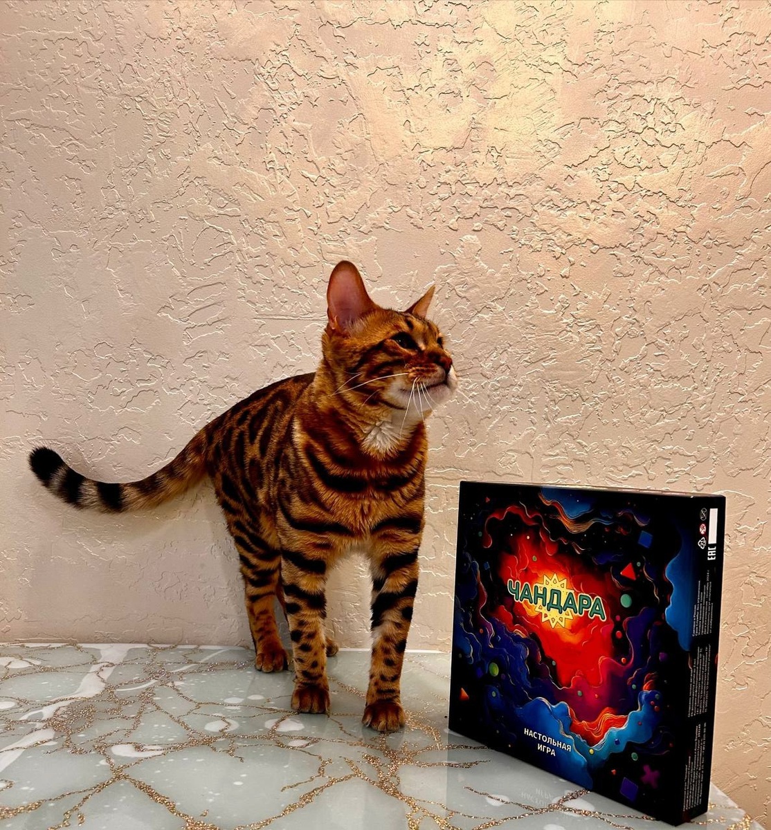 Мой Марс 🐈‍⬛