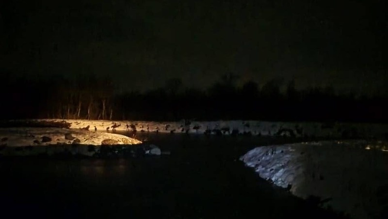      Фото: МЧС России