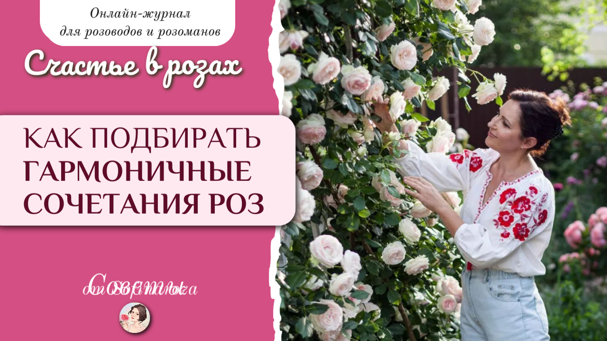 «Счастье в розах», выпуск №5, 12 декабря 2024г.