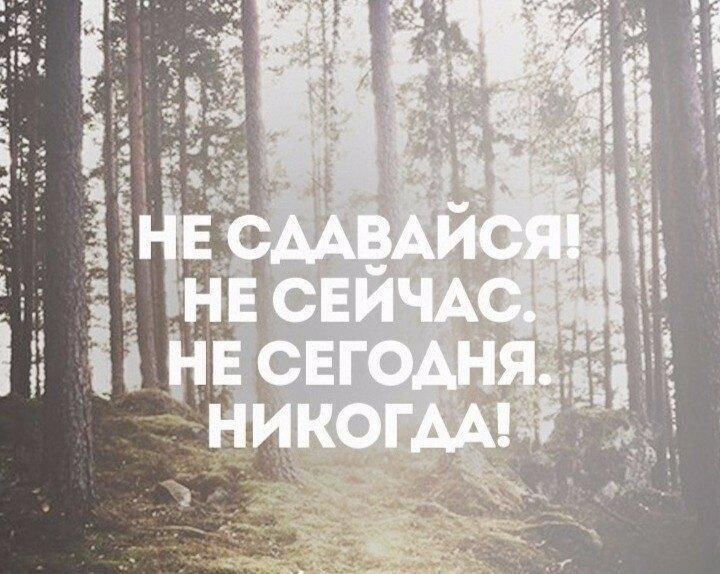 Картинка из Интернета 