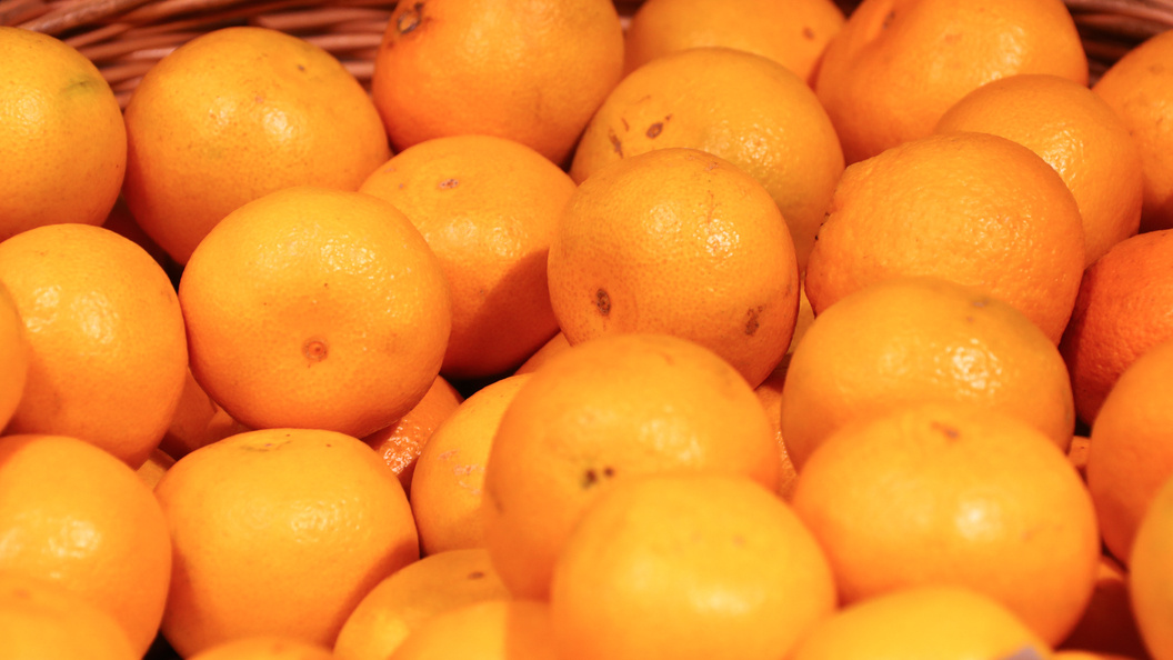    Lantyukhov Sergey/news.ru/Globallookpress