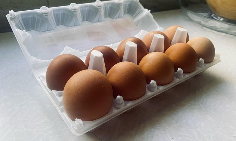 Фото: Дарья Мелехова / Горсайт