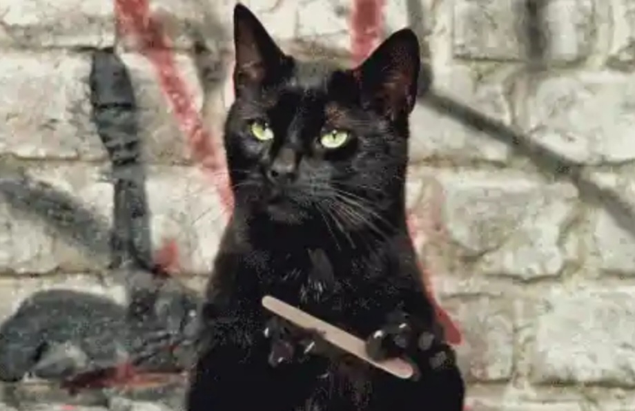 Из открытых источников