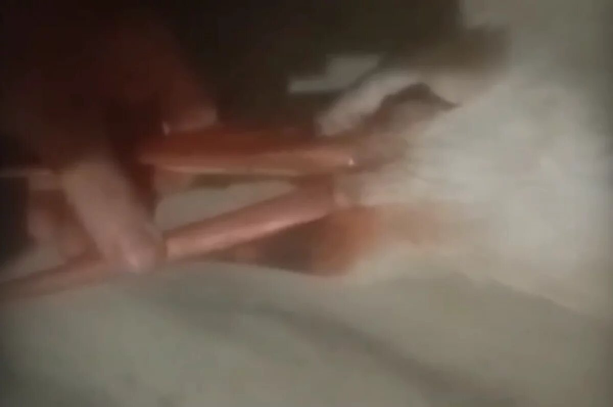    В Волгограде нелюди отравили питомцев «Птичьего острова»