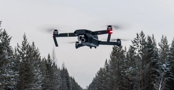    Фото: Агентство лесного и охотничьего хозяйства