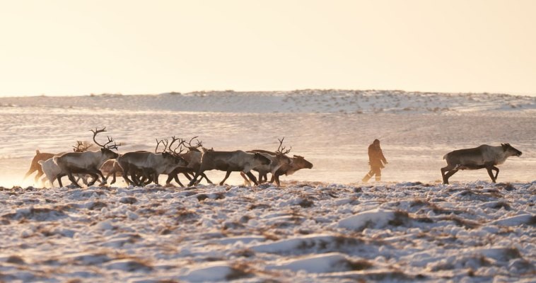 Фото: окружной департамент сельского хозяйства