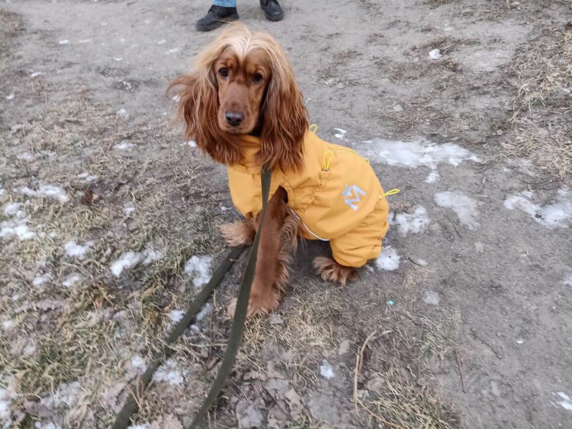 Фото из архива наших питомцев. Марфа.