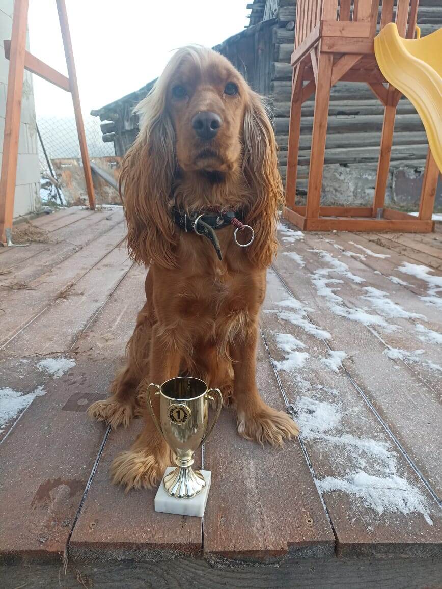 Фото из архива наших питомцев. Марфа.