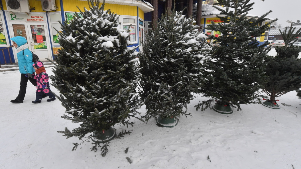    Komsomolskaya Pravda/Global Look Press