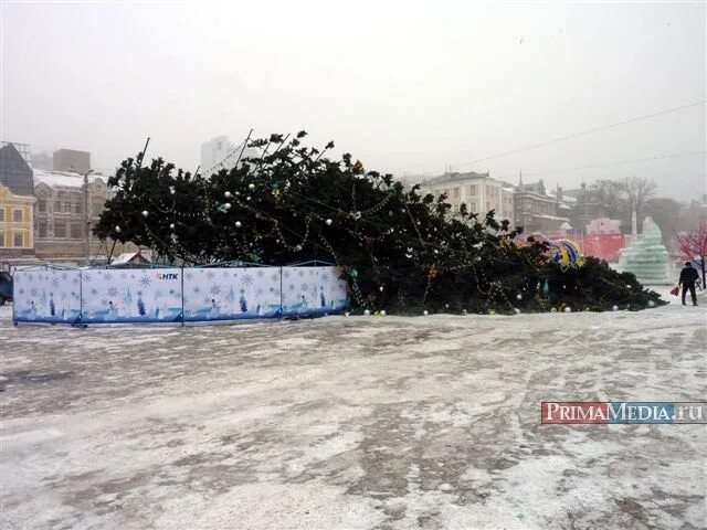 На фото из интернета не наша ёлка, то тоже устала