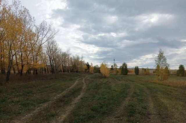    Примерное место убийства. Фото: ГСУ СК России по Красноярскому краю и Республике Хакасия