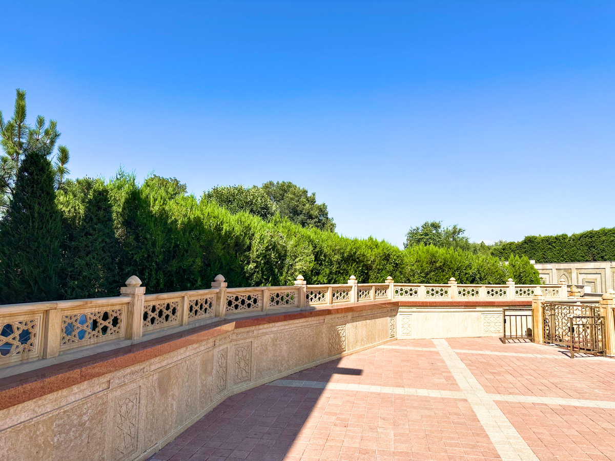 Вид на зелень у мечети