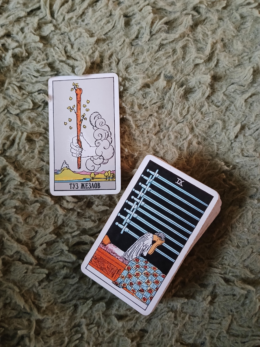 Фото автора. 