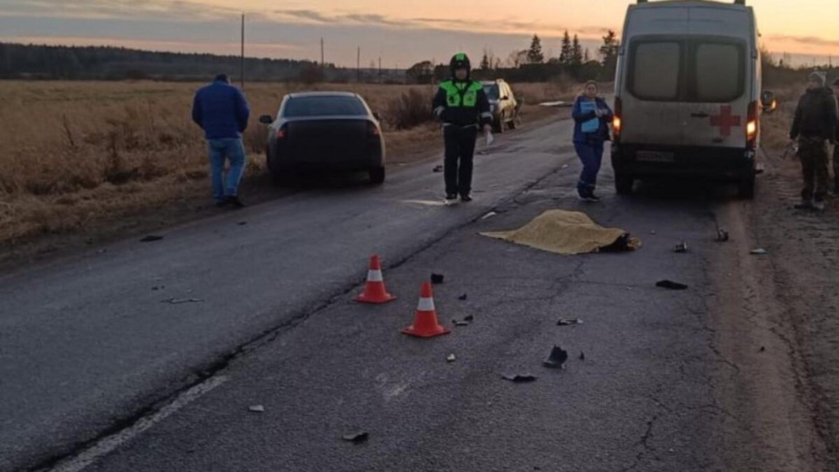    Фото: пресс-служба ГУ МВД России по Петербургу и Ленобласти