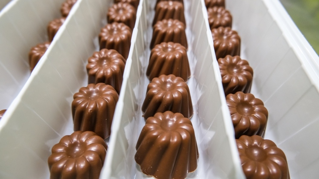    Фото: Bulkin Sergey/news.ru/Globallookpress