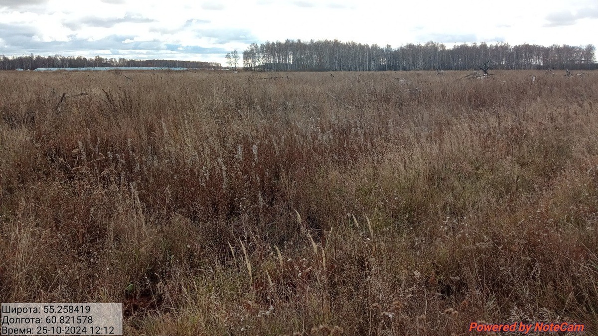 Фото: пресс-служба Россельхознадзора по Челябинской области