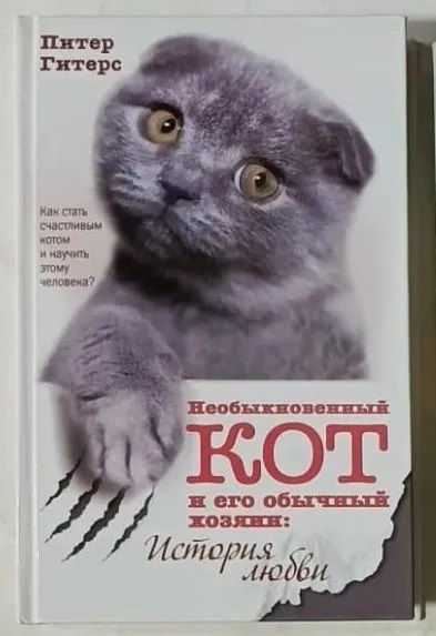«Необыкновенный кот и его обычный хозяин: история любви»