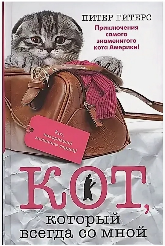 «Кот, который всегда со мной»